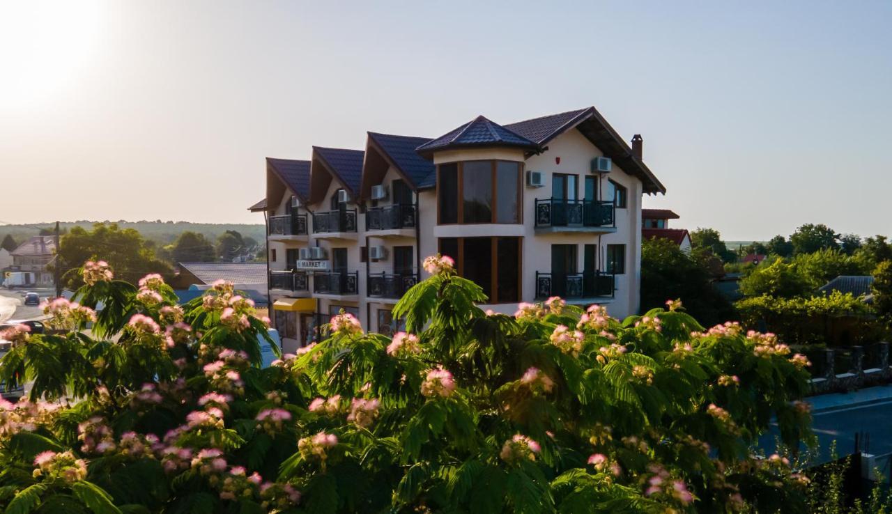 Murfatlar Casa Familia Vladoi Bed & Breakfast エクステリア 写真